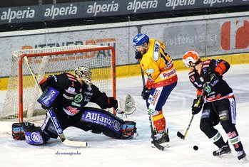 Rittern vs Asiago hockey - Foto di David S. Wassagruba