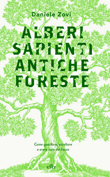 Alberi sapienti antiche foreste