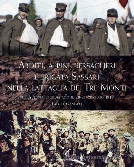 Arditi alpini bersaglieri e brigata sassari nella battaglia dei tre monti sull altopiano di asiago il 28 31 gennaio 1918