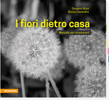I fiori dietro casa I fiori dietro casa