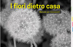 Presentazione libro "I fiori dietro casa" di Nicola Casarotto e Giovanni Ariot ad Asiago - 22 agosto 2018