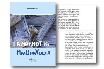 La marmotta mai una volta libro