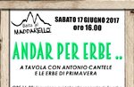 VISITING HERBS-excursion and dinner of herbs to Asiago 2.0-June 17, 2017 (Qvb)