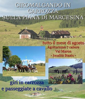 Giromalgando in carrozza sulla Piana di Marcesina