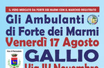 Markt Hausierer von Forte dei Marmi ein Gallium-17 August 2018