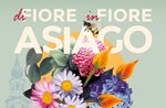 Di fiore in fiore mercatino floreale ad asiago 29 maggio 2022