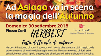 Herbest Asiago Herbest Asiago
