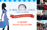 Market of Forte dei Marmi a Gallium-2 January 2018