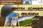 1ª Mostra-Scambio Militaria in Altopiano, 6 luglio 2014 a Treschè Conca