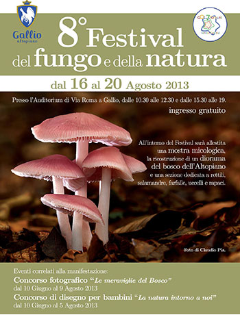 8° Festival del fungo e della natura - dal 16 al 20 agosto a Gallio