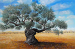 Mostra d'arte Gli alberi e il cielo di Carlo Busellato ad Asiago