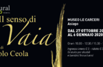 Mostra Il senso di Vaia ad Asiago Mostra Il senso di Vaia ad Asiago
