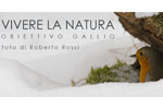 Mostra "Vivere la natura" a Gallio, dal 27 dicembre al 5 gennaio 2014