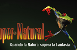 "SUPER-NATURAL" - Disclosure evening at the Asiago Naturalistic Museum - 30 July 2019