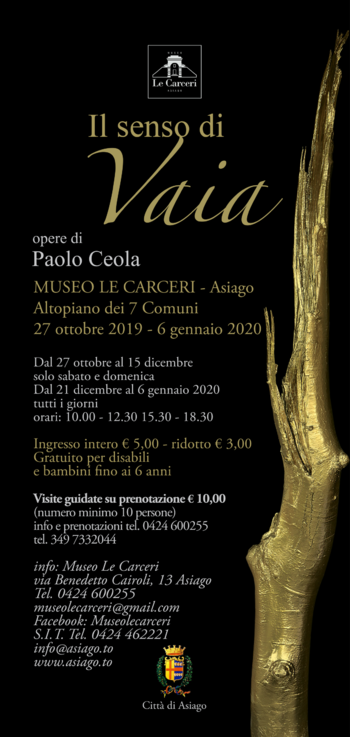 Mostra Vaia Asiago 2019 Mostra Vaia Asiago 2019