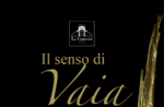 "THE SENSE OF VAIA" - Exhibition with works by Paolo Ceola at the Asiago Prisons Museum