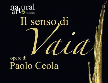 Paolo Ceola - Il senso di Vaia