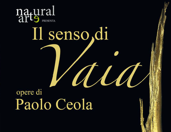 Paolo Ceola - Il senso di Vaia Paolo Ceola - Il senso di Vaia