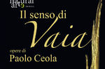 Artist Paolo Ceola recounts the genesis of the exhibition "The Sense of Vaia" in Asiago - 26 December 2019