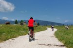 LA ENEGO-MARCESINA BIKE- MTB und E-Bike Rennen auf der Piana di Marcesina, Enego - 16. Juli 2022