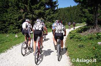 Mountain Bike Altopiano Asiago