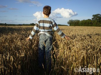 campo di cereali_bambino