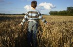 "Wandern durch die Geschichte... mit Getreide" - Wissenschaftliches Labor in der Natur in Asien - 25. Juli 2019