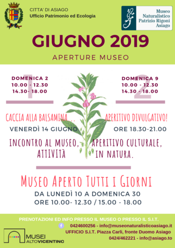 Openings and activities of the month of JUNE 2019 of the Naturalistic Museum didactic 