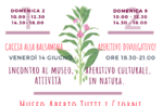 Openings and activities of the month of JUNE 2019 of the Naturalistic Museum didactic "Patrizio Rigoni" of Asiago