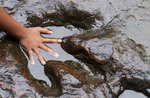 ' The land before time: in the footsteps of dinosaurs ', Museo Naturalistico di Asiago, December 27, 2016