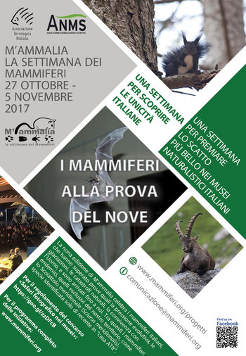 Mammalia 2017 al Museo Naturalistico di Asiago