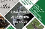 M ' CHARMS-the week of mammals at the natural history museum From 27 October to 5 November in Asiago-2017