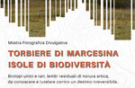 Mostra temporanea "Torbiere di Marcesina, isole di biodiversità al Museo Naturalistico Patrizio Rigoni di Asiago - dal 15 giugno al 7 novembre 2021