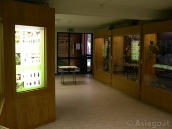 Museo Naturalistico Didattico Patrizio Rigoni