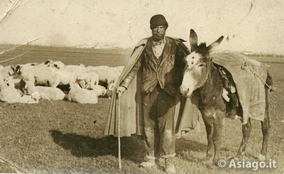 Pastori Pecore Gente di Foza