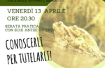 Information evening "SUBMERSIBLE" LIFE at the natural history museum educational "Patrizio Rigoni di Asiago-23 March 2018"