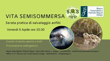 Vita semisommersa - Museo Naturalistico Asiago