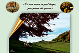 Duet of poetry and Paù Nozzle accordion the 30 June, the Asiago Plateau