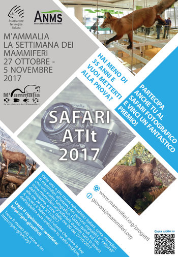 Safari fotografico per Mammalia 2017 al Museo Naturalistico di Asiago