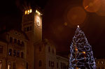 Power of ' traditional Christmas tree in Asiago, Saturday December 8, 2012
