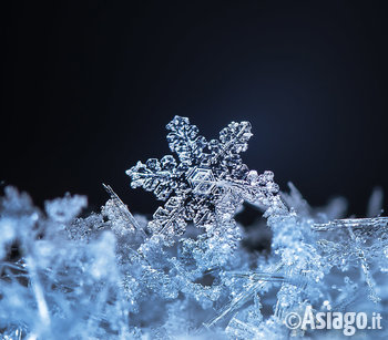 cristallo_di_neve_museo_naturalistico cristallo_di_neve_museo_naturalistico