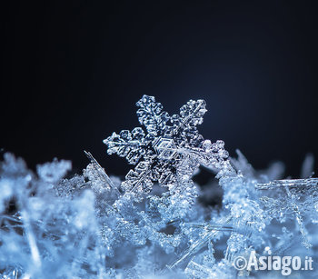 cristallo_di_neve_museo_naturalistico