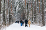 Excursion with the gamekeeper organized by Museo Naturalistico di Asiago, December 28, 2016