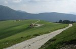 AsiagO Pfade OL in Val Formica Spitze der Lärche
