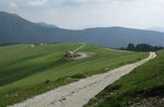 AsiagO paths Orienteering in Val Formica top of Larch