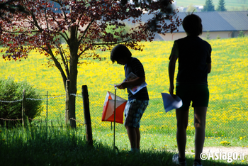 Orienteering sull'Altopiano di Asiago Orienteering sull'Altopiano di Asiago