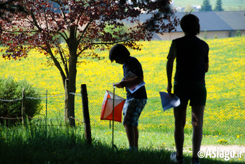 Orienteering sull'Altopiano di Asiago