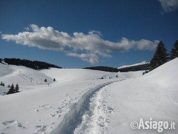 Panorama innevato con sentiero ciaspolata in val formica