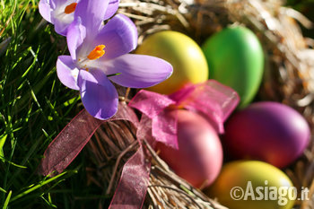 Pranzo di Pasqua 2016 all Hotel alpi di Foza 