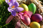 Ostern-Mittagessen im Restaurant Alpen von Foza, Sonntag, 27. März 2016